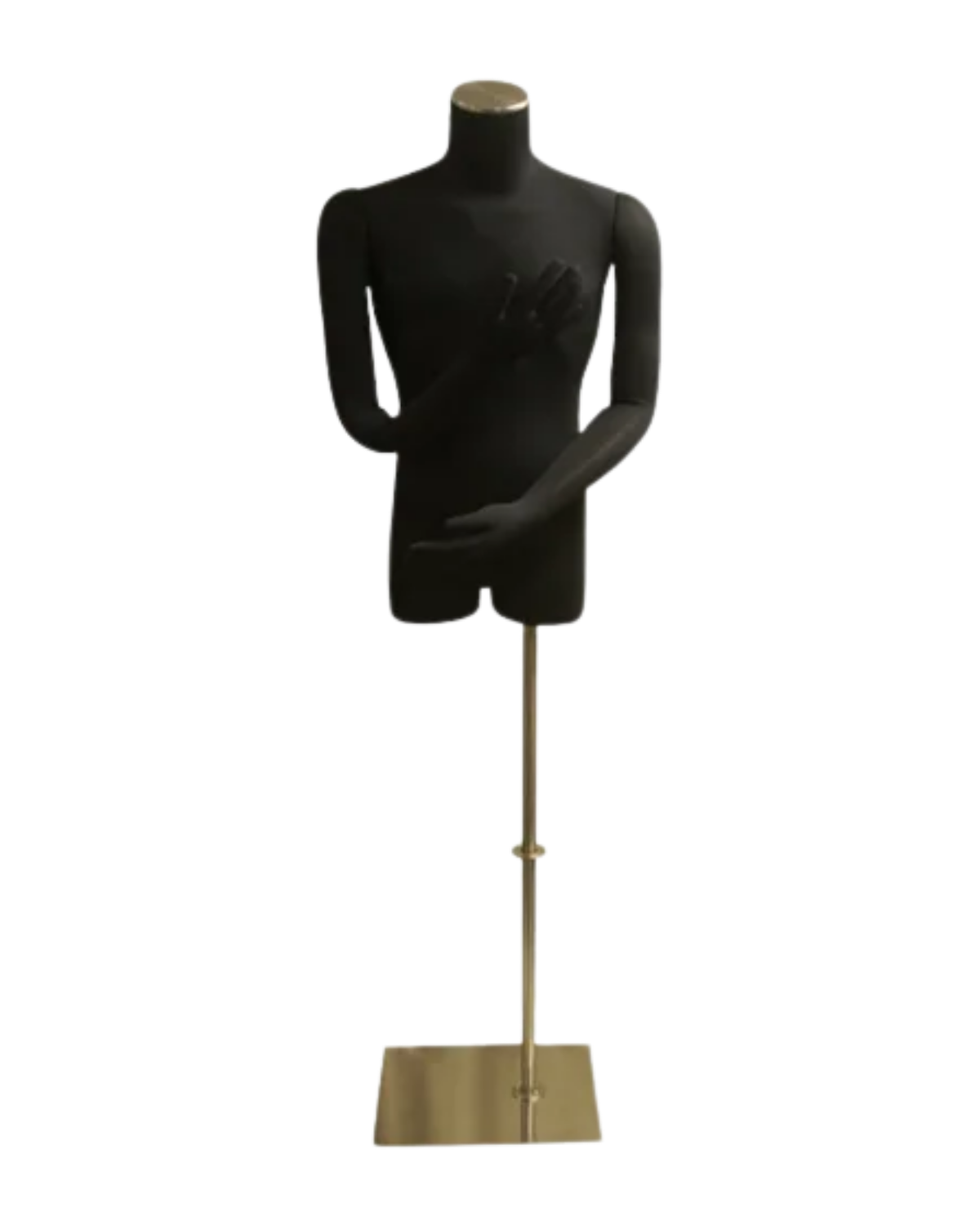 Torso Mannequins