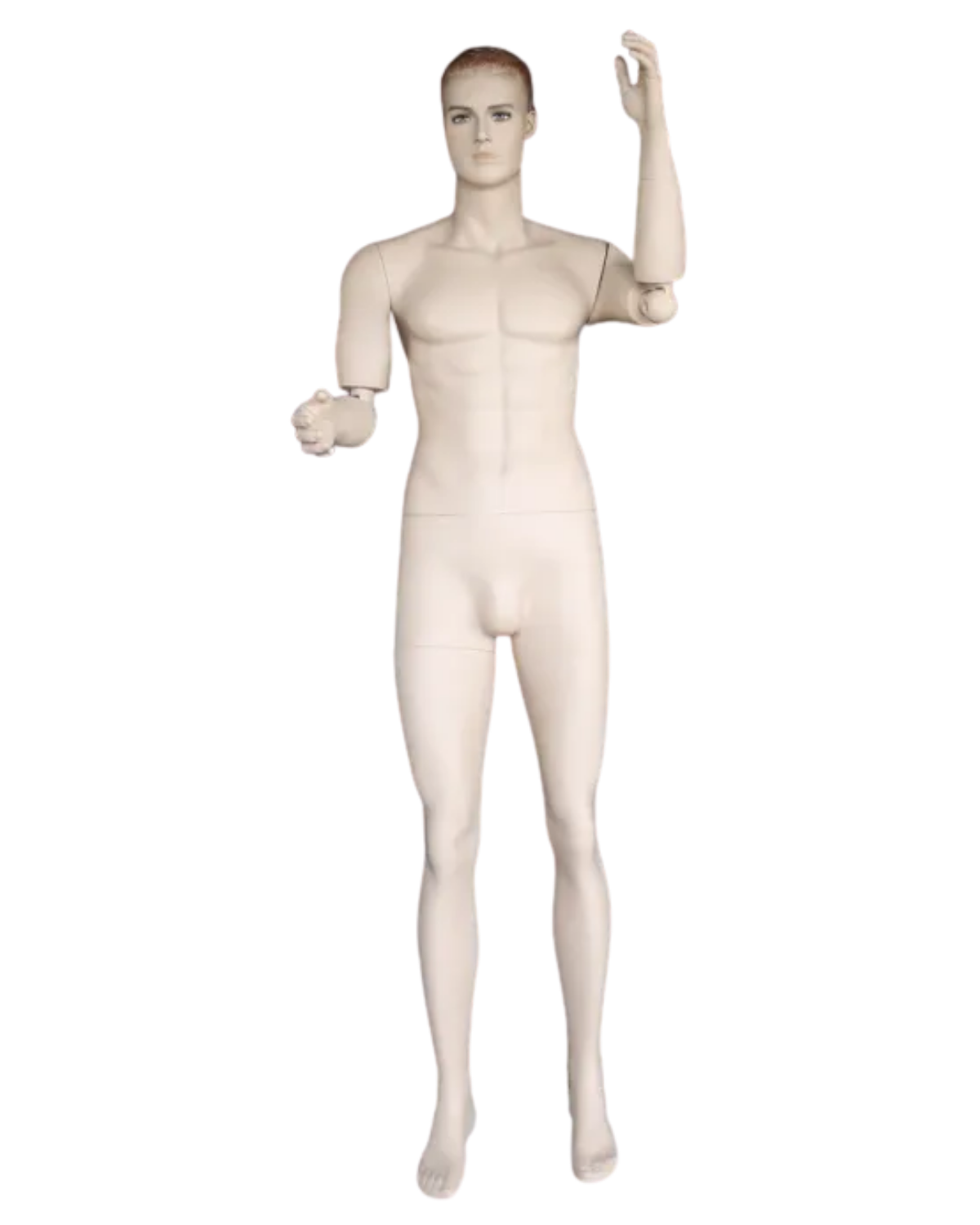 Posable male mannequin with adjustable articulated arms demonstrating flexible display positions