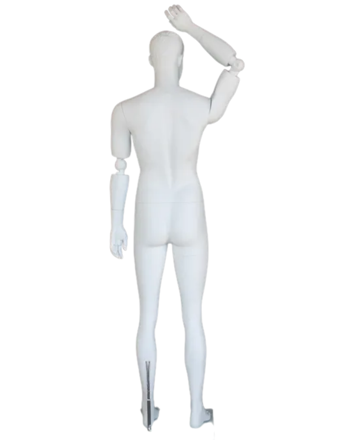 posable white male mannequin back view