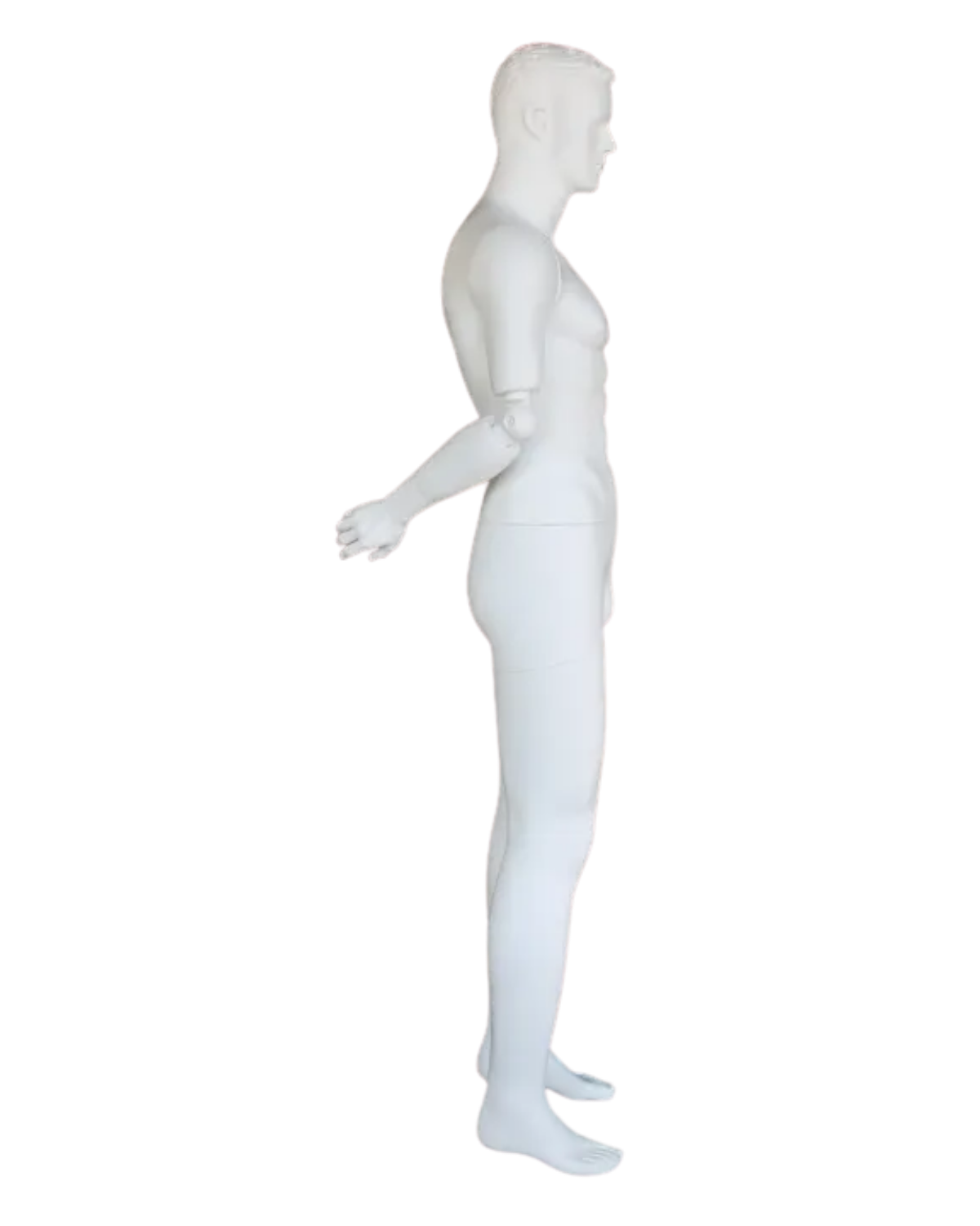 Posable white male mannequin side view arm behind