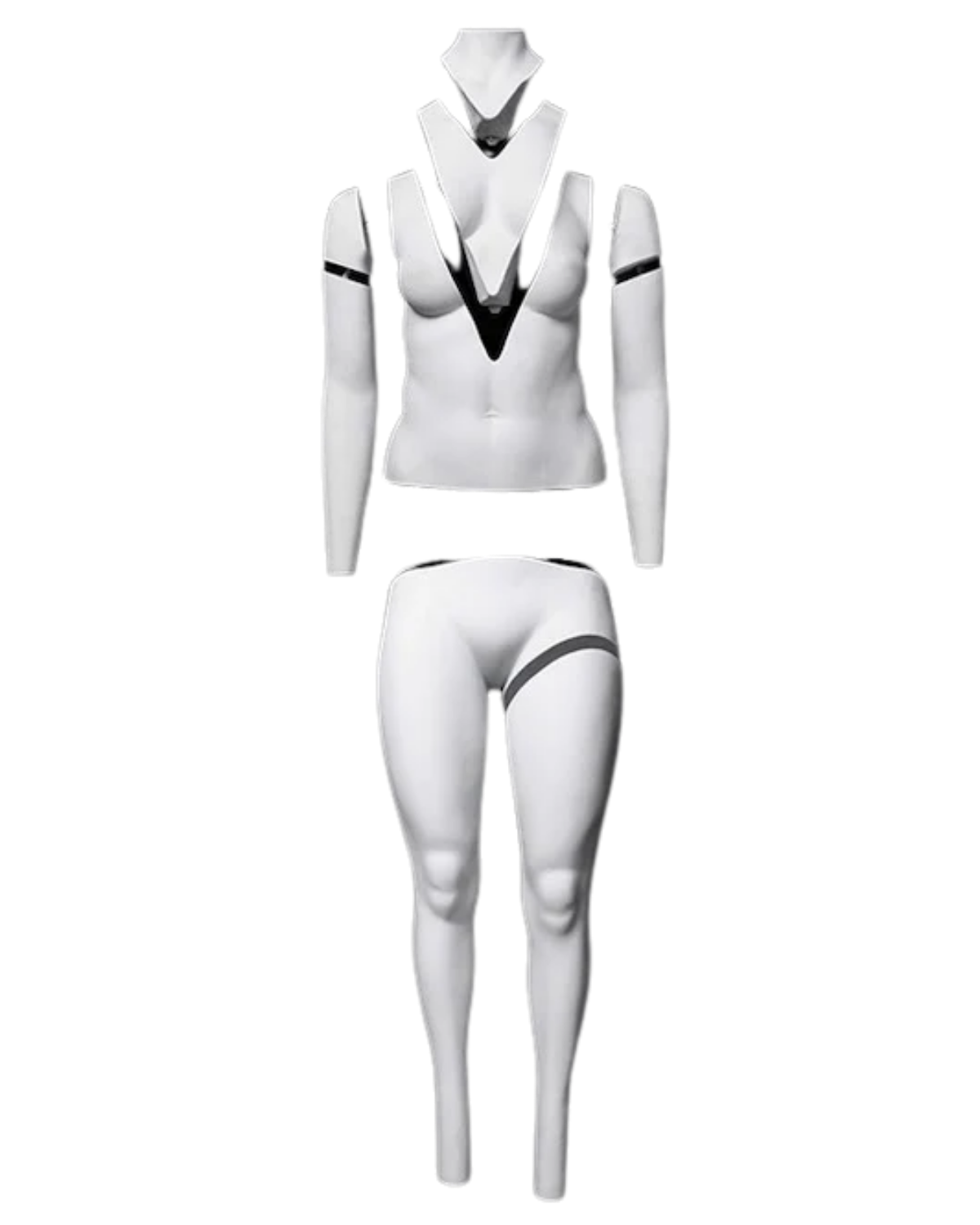 Plus size female ghost mannequin with removable magnetic body sections