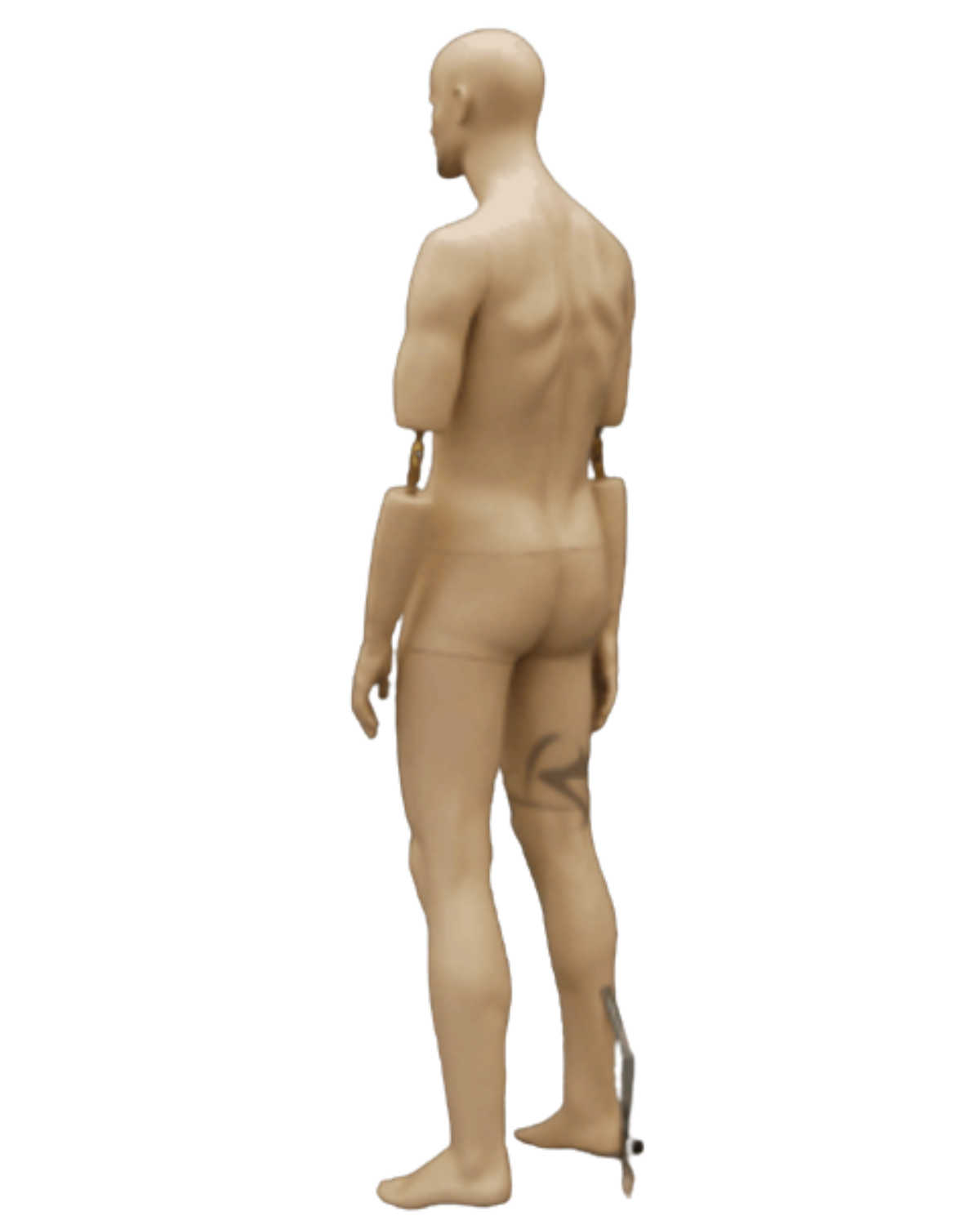 Patrick Male Mannequin Back View