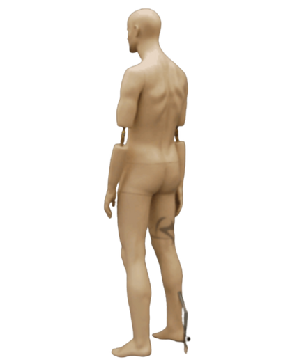 Patrick Male Mannequin Back View