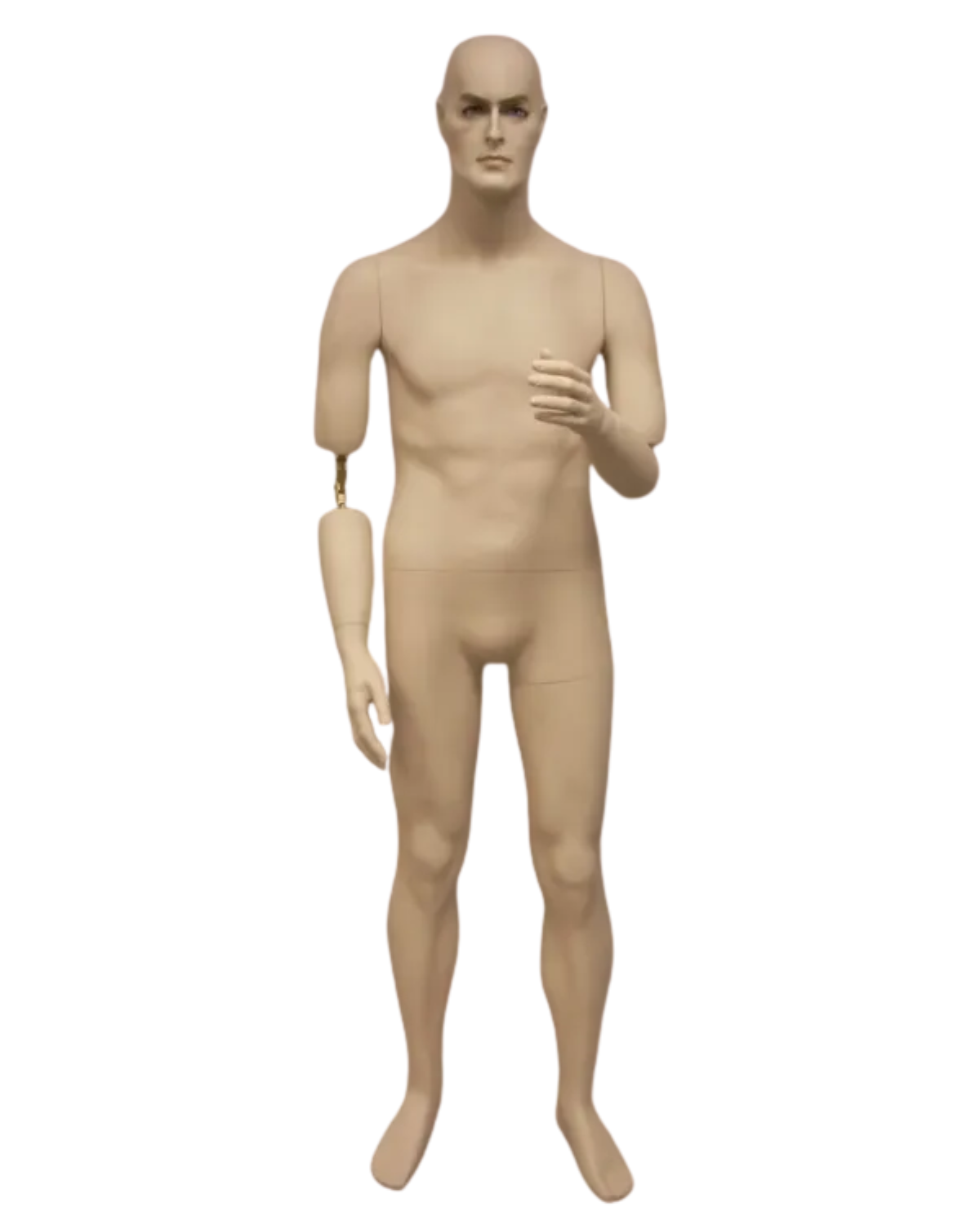 Fleshtone Male Mannequin