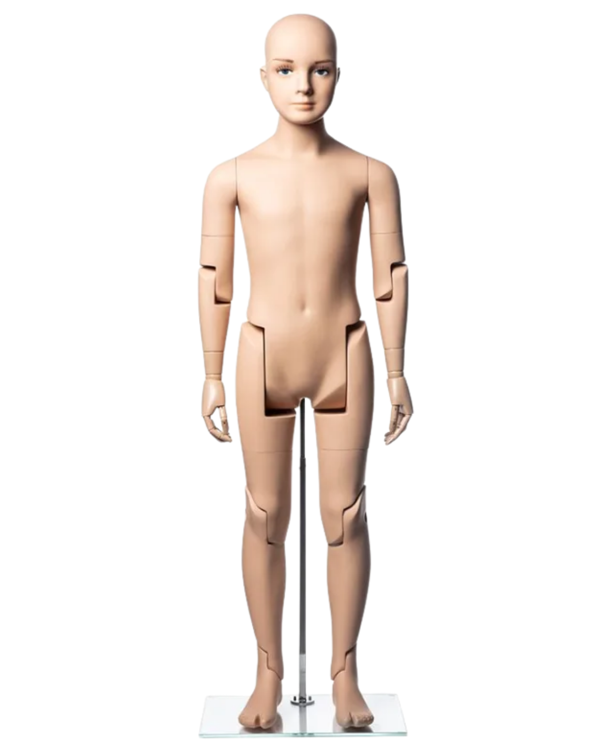 Front view of realistic fiberglass 10T child mannequin with articulated limbs