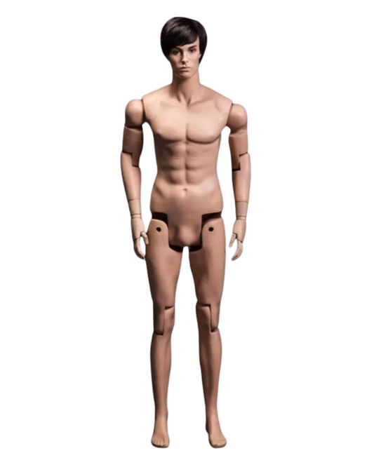 Todd fully posable male mannequin in realistic fleshtone fiberglass angled front view