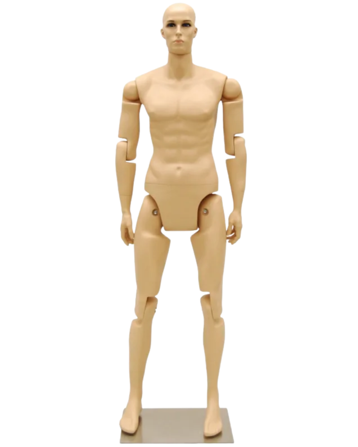Front view of fully posable fleshtone male mannequin with articulated fiberglass joints