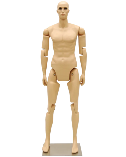Front view of fully posable fleshtone male mannequin with articulated fiberglass joints