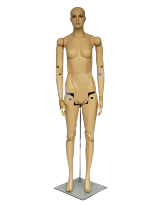Mannequin torso on a white background
