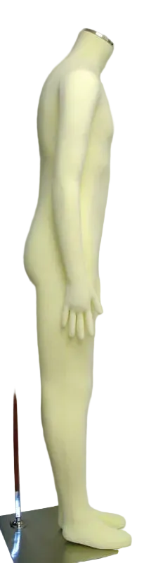 side view flexible mannequin display