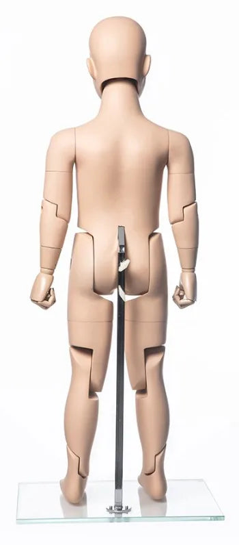 Back view of realistic fiberglass posable child mannequin