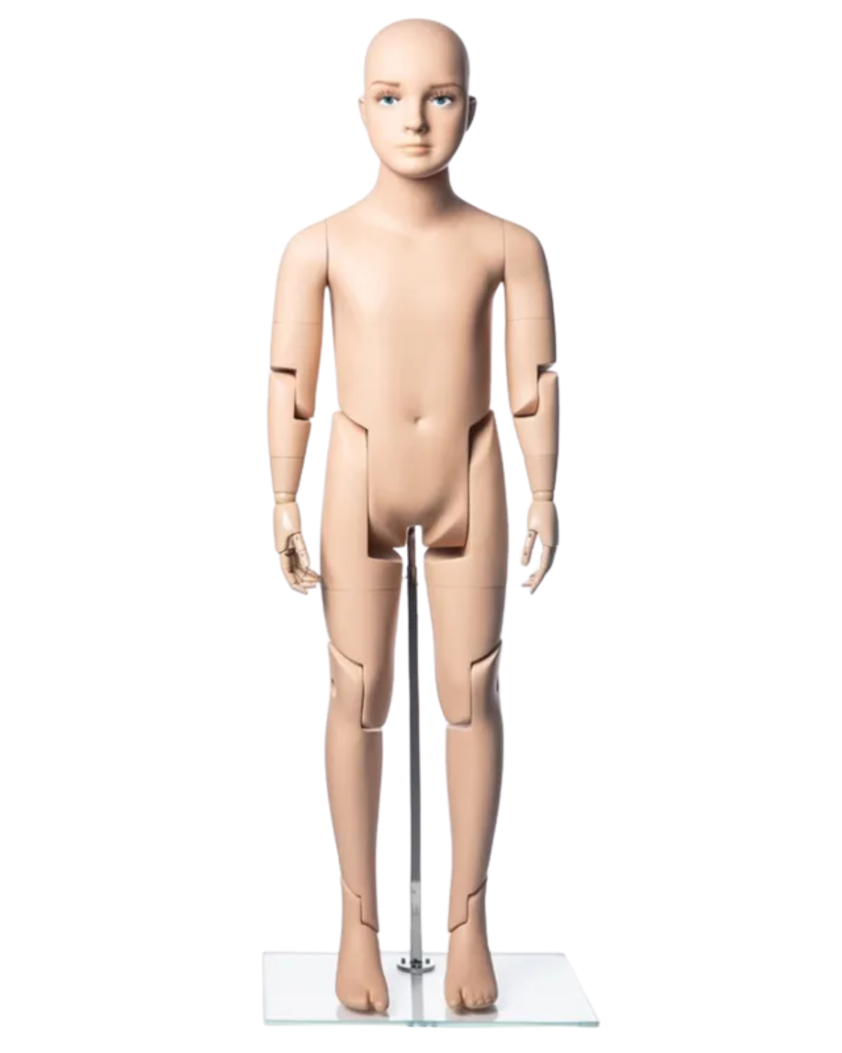 Front view of realistic fiberglass 6T child mannequin with articulated joints