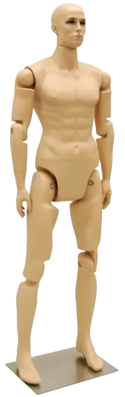 Angled view of articulated male mannequin with realistic fleshtone fiberglass finish