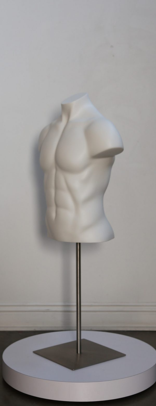 Posable male torso mannequin display in multiple colors, showing a realistic human upper body for retail or fashion presentations.