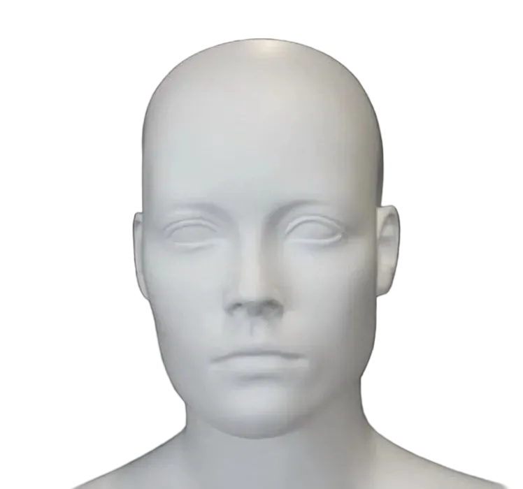 mannequin face close up sculpted features