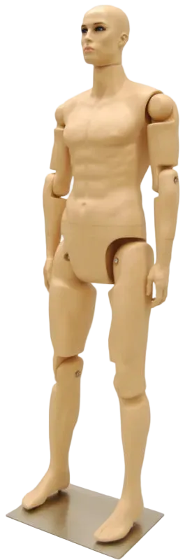 Mannequin torso on a white background