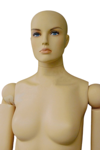realistic female mannequin head and torso articulated display detail