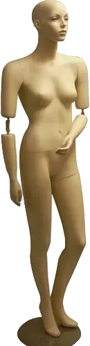 angled view female mannequin movable elbows