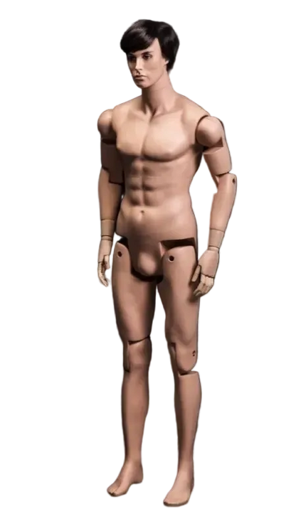 Mannequin figure with a realistic human form on a white background